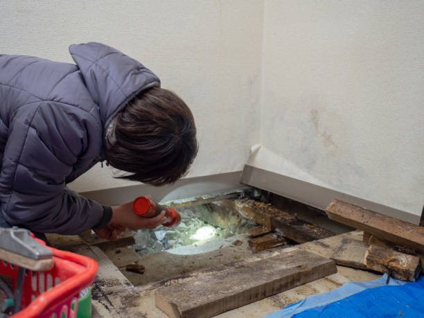 Best Post-Remediation Verification Testing  in Braddock, PA