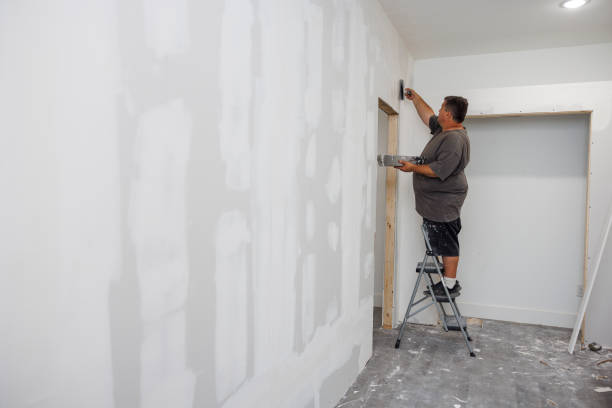 Best Mold-Related Health Consultation  in Braddock, PA